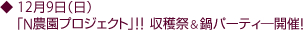12月9日(日)「N農園プロジェクト」!!収穫祭&鍋パーティ―開催!